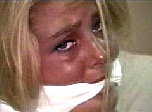 cv2813.jpg