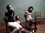 sc411.jpg